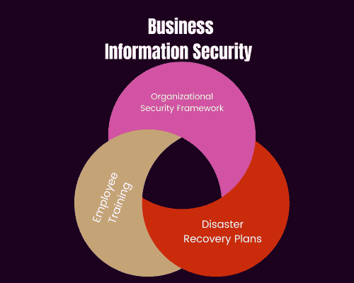 business information security