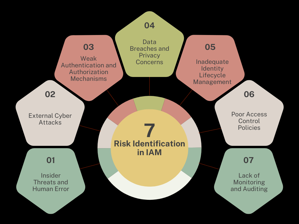 Risk Identification in IAM